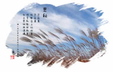 ˼˼