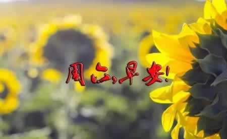 ʺȦľ ľ