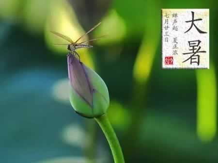 描写大暑的简单古诗整首9首