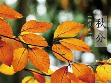 关于秋分的优美诗词汇总