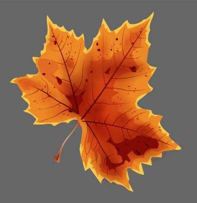 ھ˾ʺ