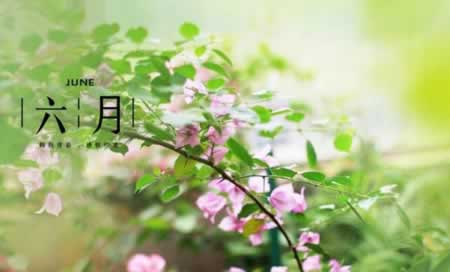 关于六月的唯美句子